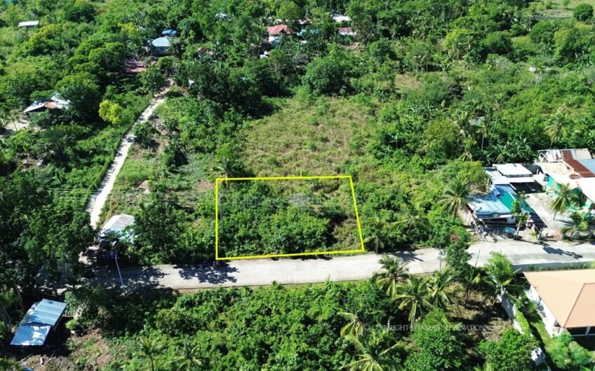 Top 5 Affordable Lots