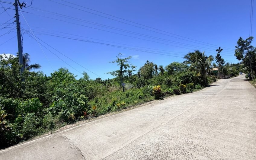 Top 5 Affordable Lots