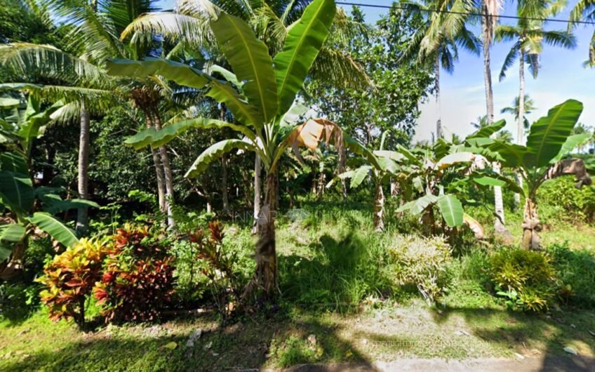 3,200 SQM Roadside Lot Near the Beach