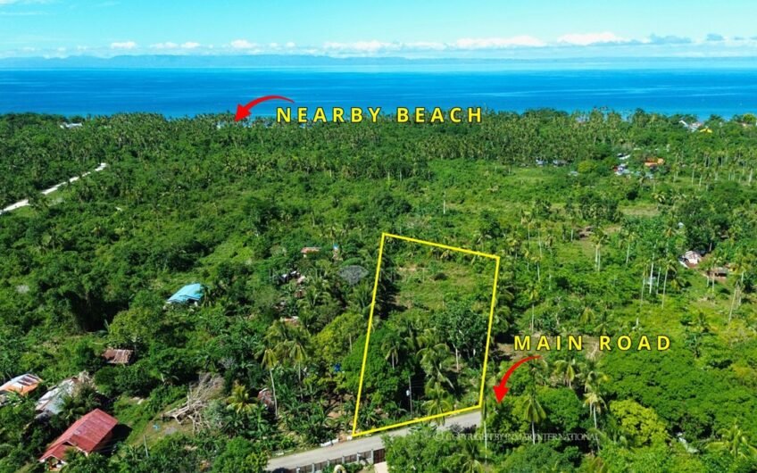 3,200 SQM Roadside Lot Near the Beach
