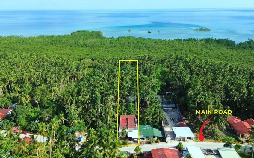 3BR House On 2,600 Sqm Lot