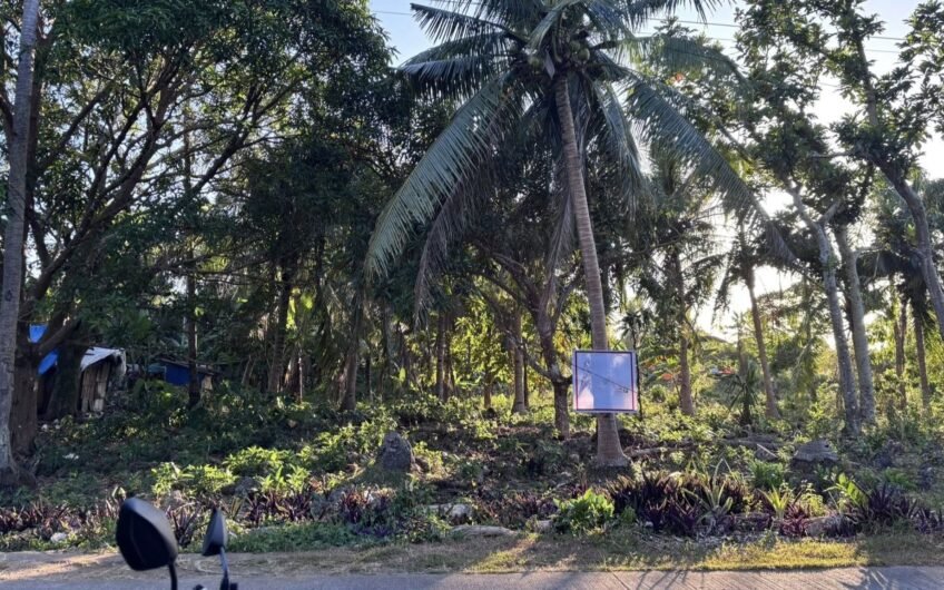 3,296 SQM Roadside Lot Near the Beach