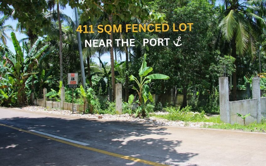 441 Sqm Fenced Lot Along Main Road