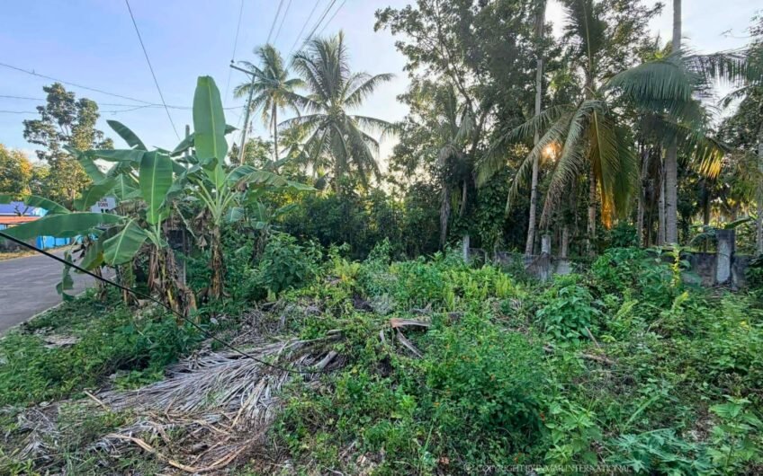 441 Sqm Fenced Lot Along Main Road
