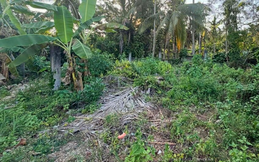 441 Sqm Fenced Lot Along Main Road