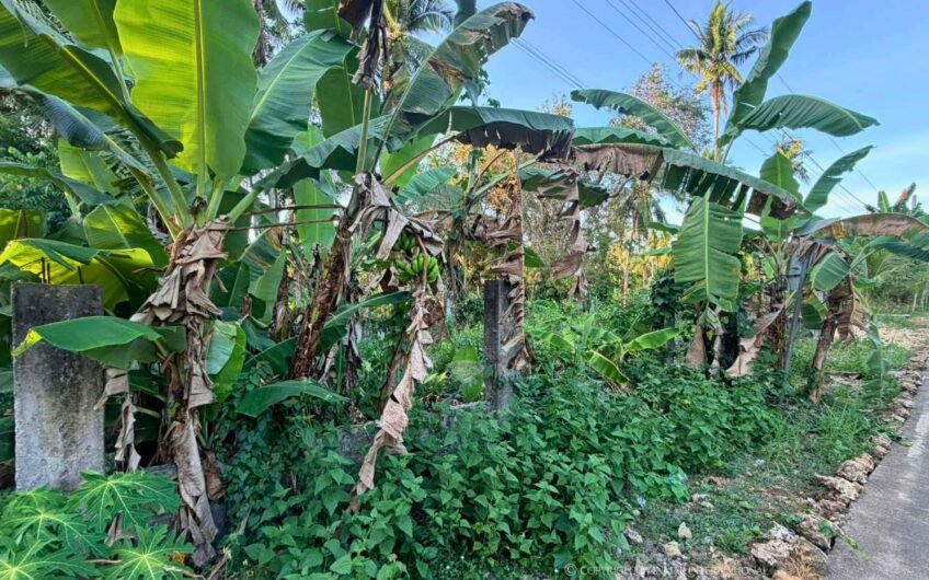 441 Sqm Fenced Lot Along Main Road