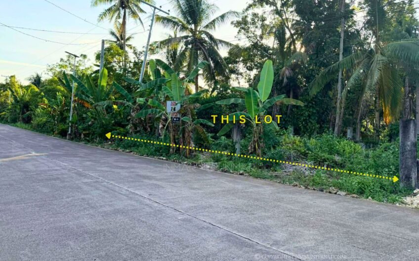 441 Sqm Fenced Lot Along Main Road