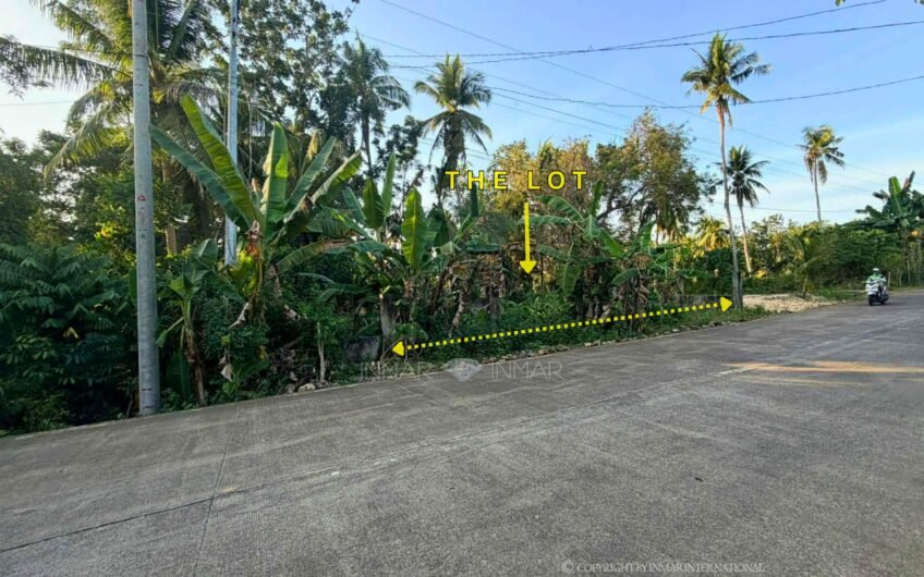 441 Sqm Fenced Lot Along Main Road