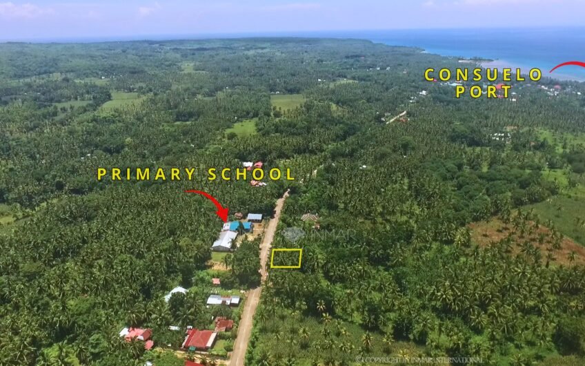 441 Sqm Fenced Lot Along Main Road