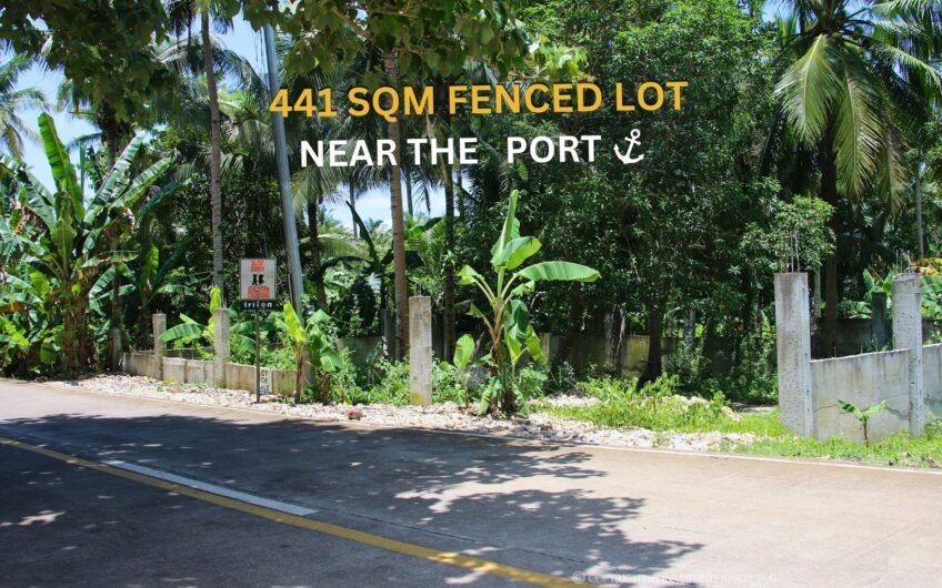 441 sqm Fenced Lot Along Main Road