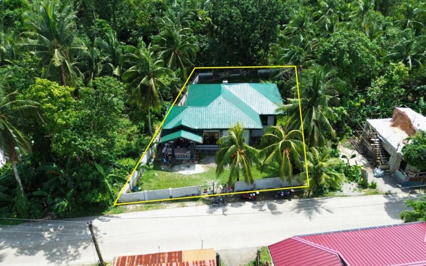 4BR House & Lot Along the Road